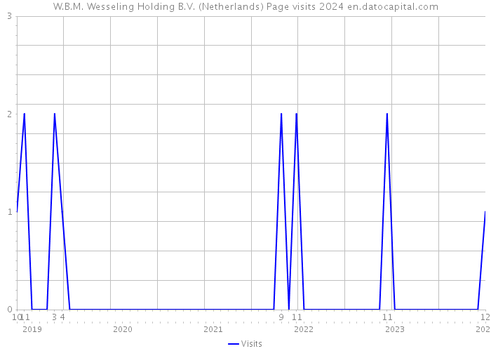 W.B.M. Wesseling Holding B.V. (Netherlands) Page visits 2024 