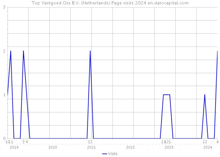 Top Vastgoed Oss B.V. (Netherlands) Page visits 2024 