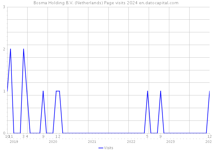 Bosma Holding B.V. (Netherlands) Page visits 2024 