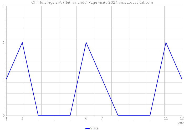 CIT Holdings B.V. (Netherlands) Page visits 2024 
