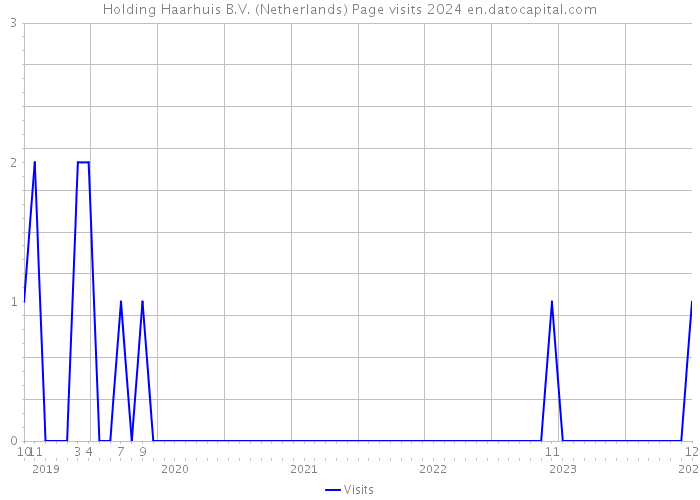 Holding Haarhuis B.V. (Netherlands) Page visits 2024 