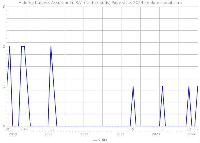 Holding Kuipers Assurantiën B.V. (Netherlands) Page visits 2024 