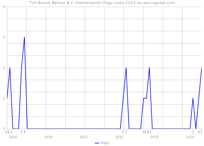 Ton Buunk Beheer B.V. (Netherlands) Page visits 2024 