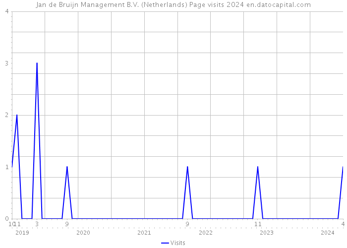 Jan de Bruijn Management B.V. (Netherlands) Page visits 2024 