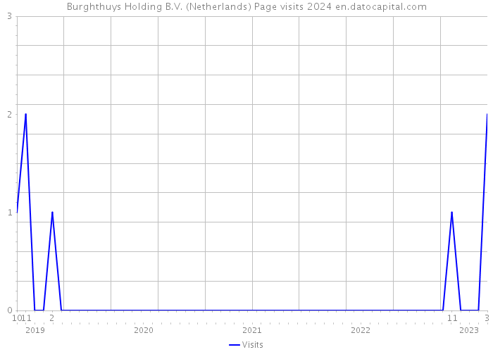 Burghthuys Holding B.V. (Netherlands) Page visits 2024 
