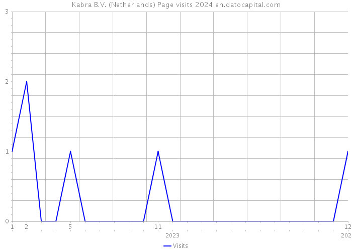 Kabra B.V. (Netherlands) Page visits 2024 