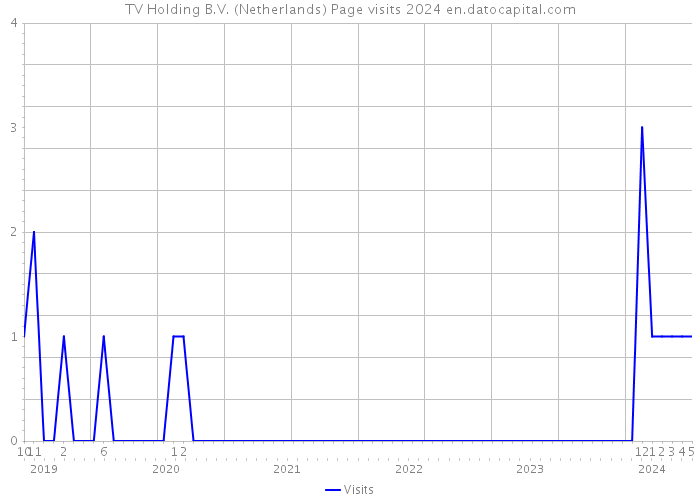 TV Holding B.V. (Netherlands) Page visits 2024 