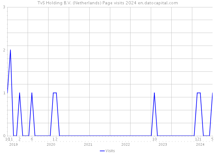 TvS Holding B.V. (Netherlands) Page visits 2024 