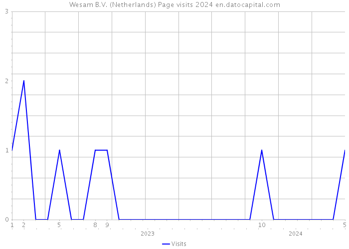 Wesam B.V. (Netherlands) Page visits 2024 