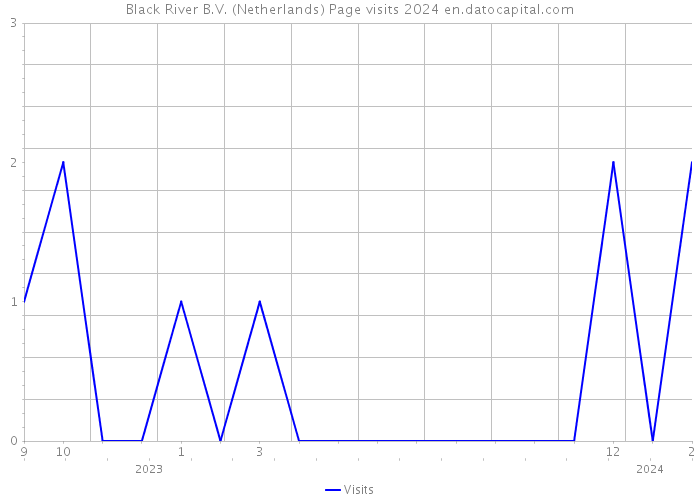 Black River B.V. (Netherlands) Page visits 2024 