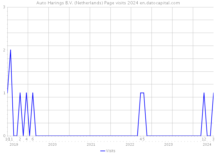 Auto Harings B.V. (Netherlands) Page visits 2024 