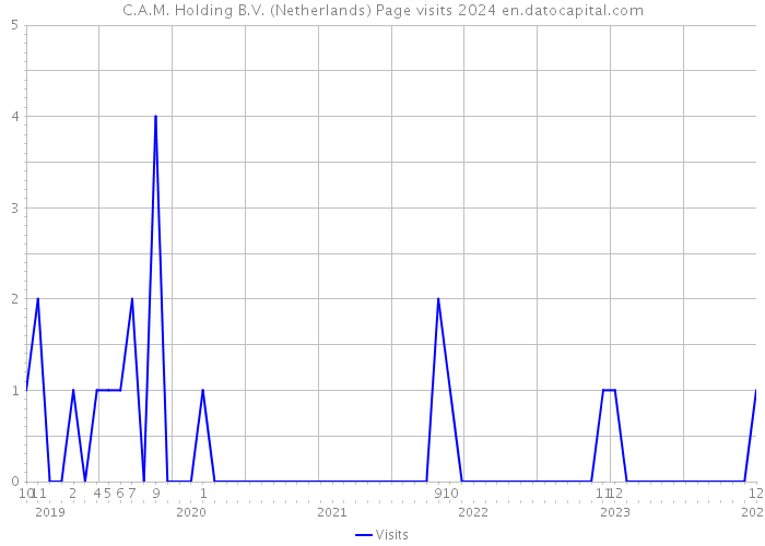 C.A.M. Holding B.V. (Netherlands) Page visits 2024 