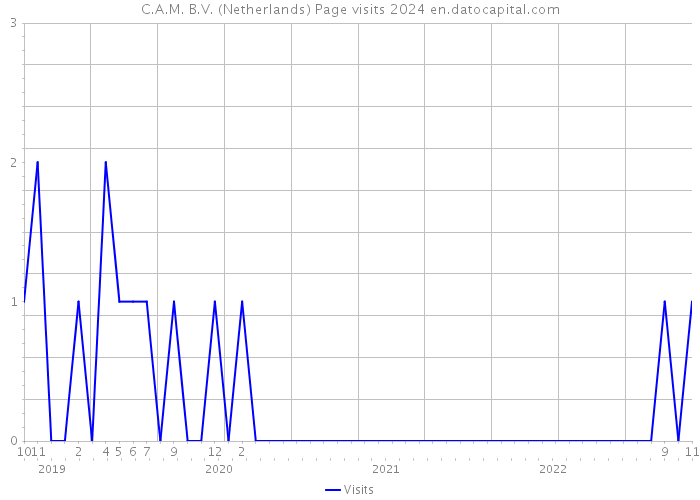 C.A.M. B.V. (Netherlands) Page visits 2024 