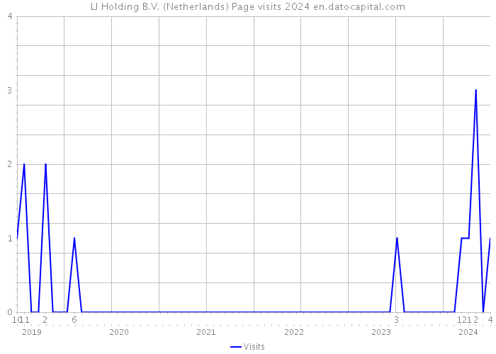 LI Holding B.V. (Netherlands) Page visits 2024 