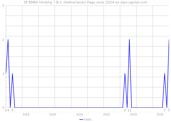 SP EMEA Holding 7 B.V. (Netherlands) Page visits 2024 
