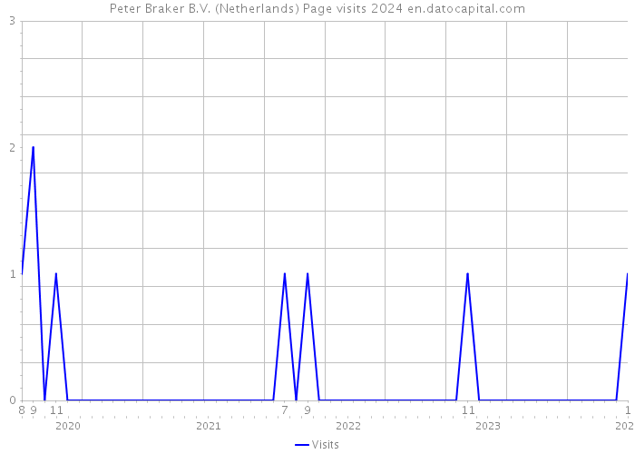 Peter Braker B.V. (Netherlands) Page visits 2024 
