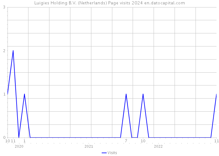 Luigies Holding B.V. (Netherlands) Page visits 2024 