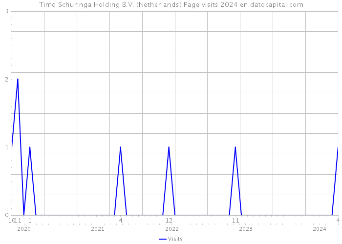 Timo Schuringa Holding B.V. (Netherlands) Page visits 2024 