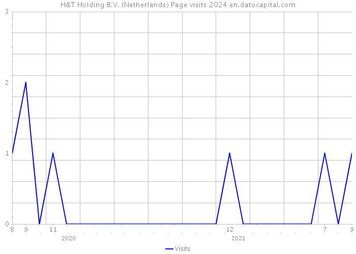 H&T Holding B.V. (Netherlands) Page visits 2024 