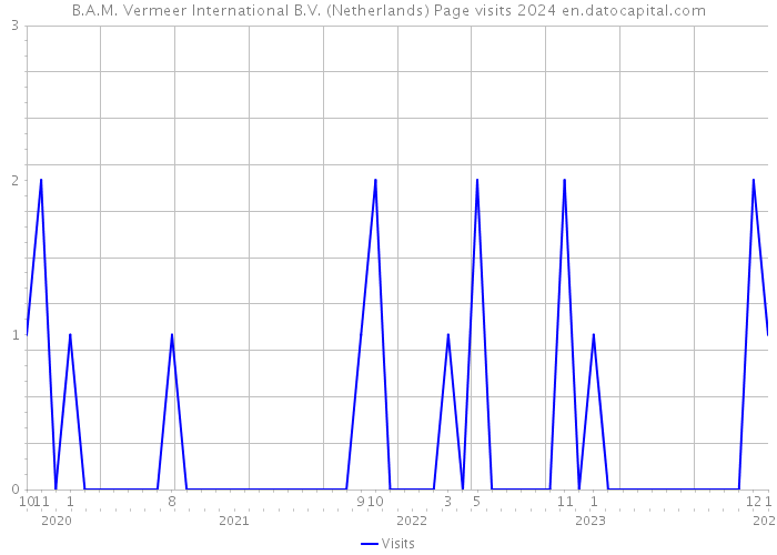 B.A.M. Vermeer International B.V. (Netherlands) Page visits 2024 