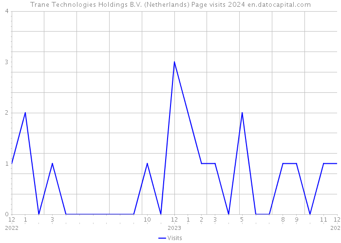 Trane Technologies Holdings B.V. (Netherlands) Page visits 2024 