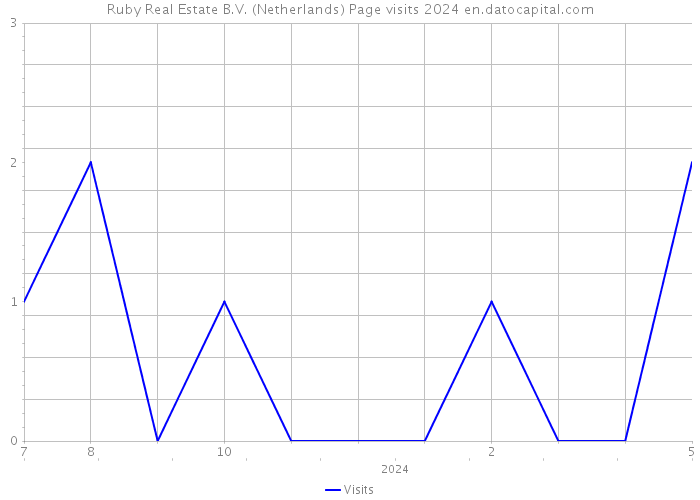 Ruby Real Estate B.V. (Netherlands) Page visits 2024 