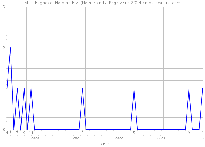 M. el Baghdadi Holding B.V. (Netherlands) Page visits 2024 