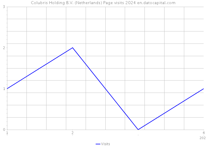 Colubris Holding B.V. (Netherlands) Page visits 2024 