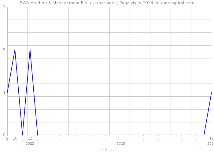 RWA Holding & Management B.V. (Netherlands) Page visits 2024 