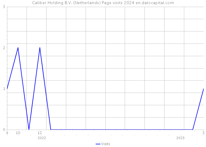 Caliber Holding B.V. (Netherlands) Page visits 2024 