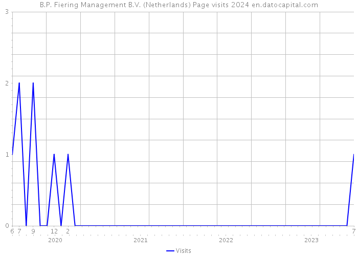 B.P. Fiering Management B.V. (Netherlands) Page visits 2024 