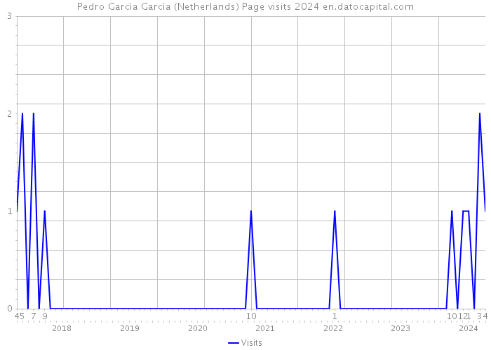 Pedro Garcìa Garcìa (Netherlands) Page visits 2024 