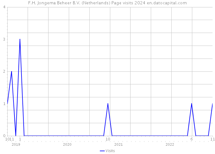 F.H. Jongema Beheer B.V. (Netherlands) Page visits 2024 