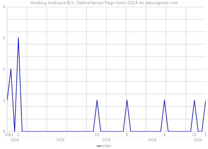 Holding Ambaum B.V. (Netherlands) Page visits 2024 