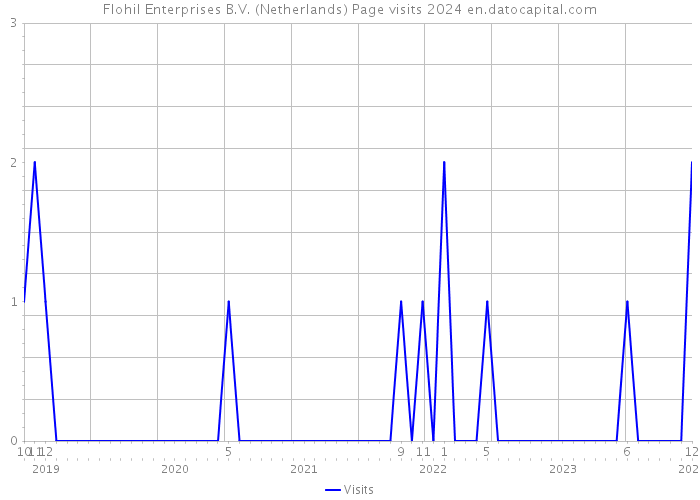 Flohil Enterprises B.V. (Netherlands) Page visits 2024 