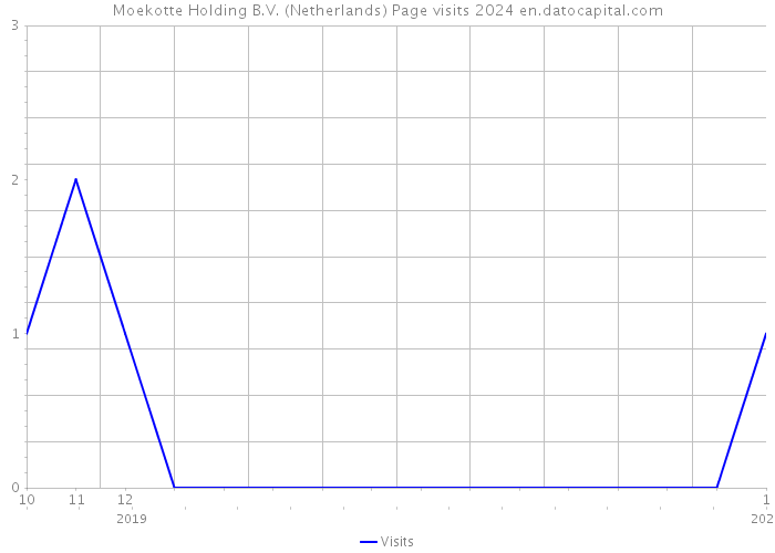 Moekotte Holding B.V. (Netherlands) Page visits 2024 