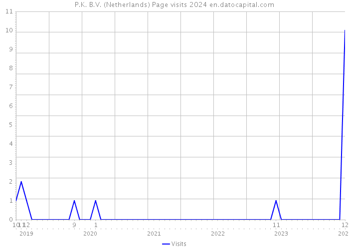 P.K. B.V. (Netherlands) Page visits 2024 