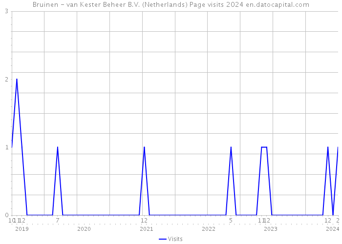 Bruinen - van Kester Beheer B.V. (Netherlands) Page visits 2024 
