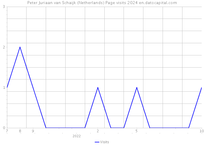 Peter Juriaan van Schaijk (Netherlands) Page visits 2024 