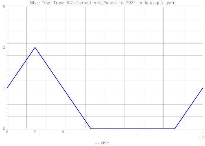 Silver Tiger Travel B.V. (Netherlands) Page visits 2024 