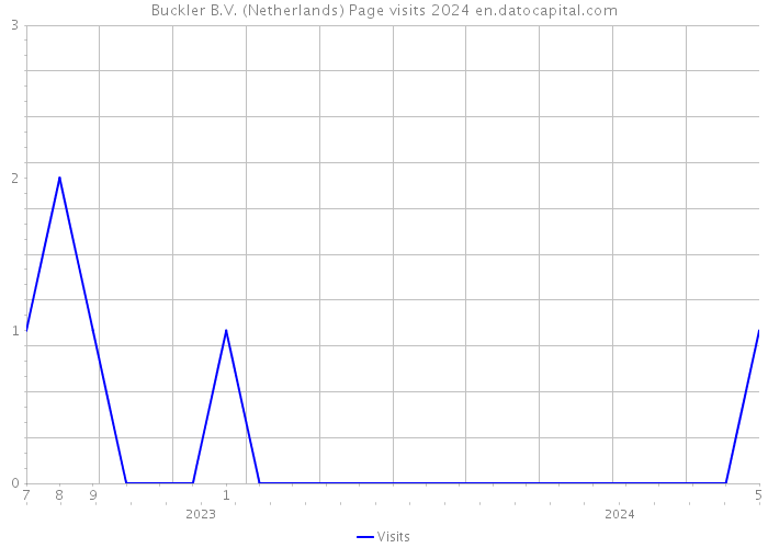 Buckler B.V. (Netherlands) Page visits 2024 