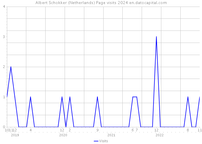 Albert Schokker (Netherlands) Page visits 2024 