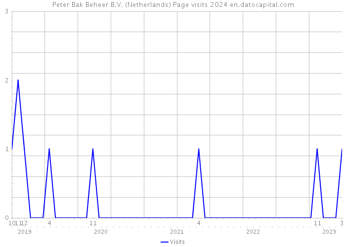 Peter Bak Beheer B.V. (Netherlands) Page visits 2024 
