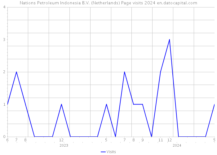 Nations Petroleum Indonesia B.V. (Netherlands) Page visits 2024 
