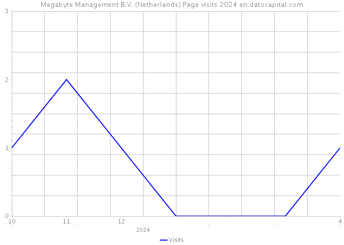 Megabyte Management B.V. (Netherlands) Page visits 2024 