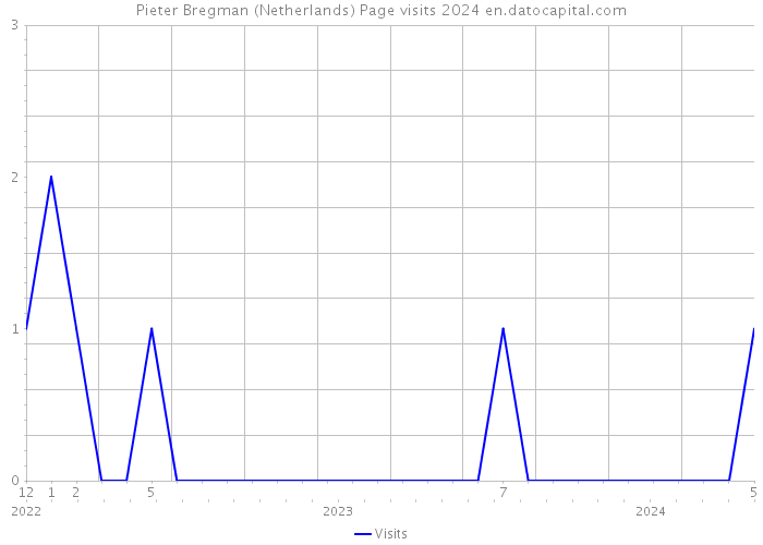 Pieter Bregman (Netherlands) Page visits 2024 