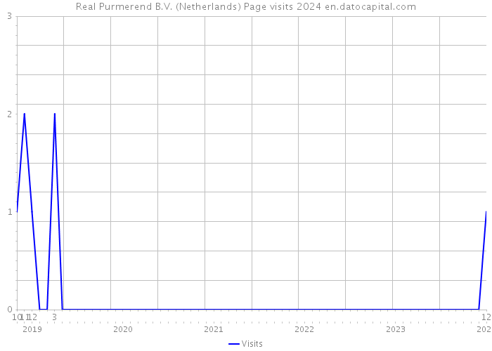 Real Purmerend B.V. (Netherlands) Page visits 2024 