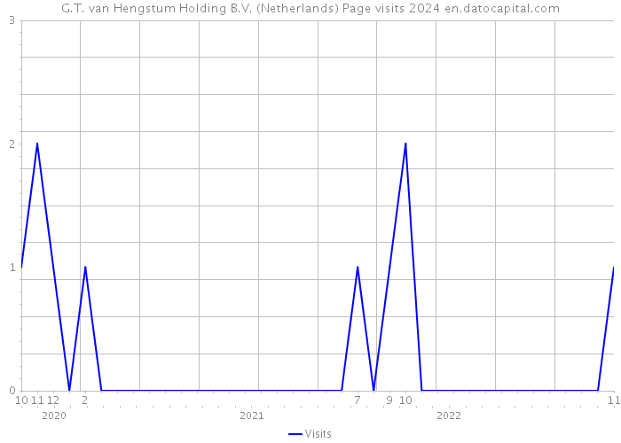 G.T. van Hengstum Holding B.V. (Netherlands) Page visits 2024 