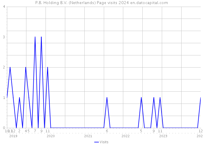 P.B. Holding B.V. (Netherlands) Page visits 2024 