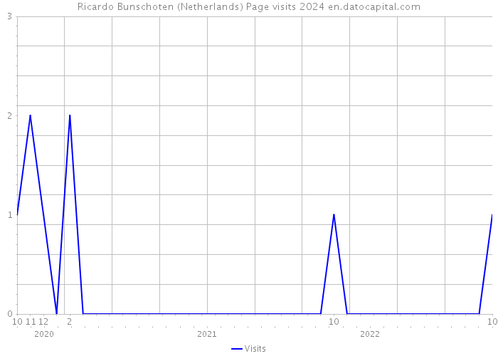Ricardo Bunschoten (Netherlands) Page visits 2024 